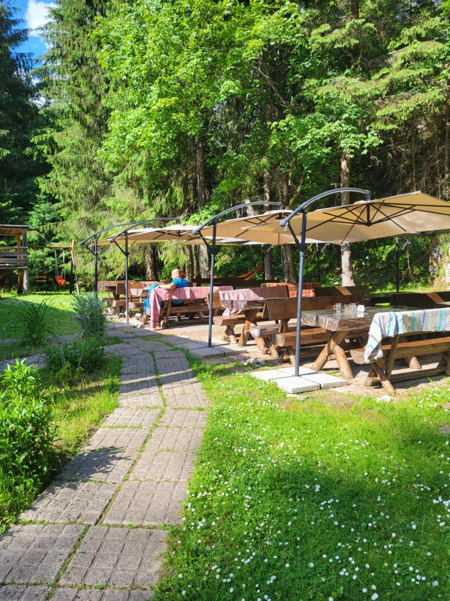 Pension Cabana Cetatile Ponorului Падис Экстерьер фото
