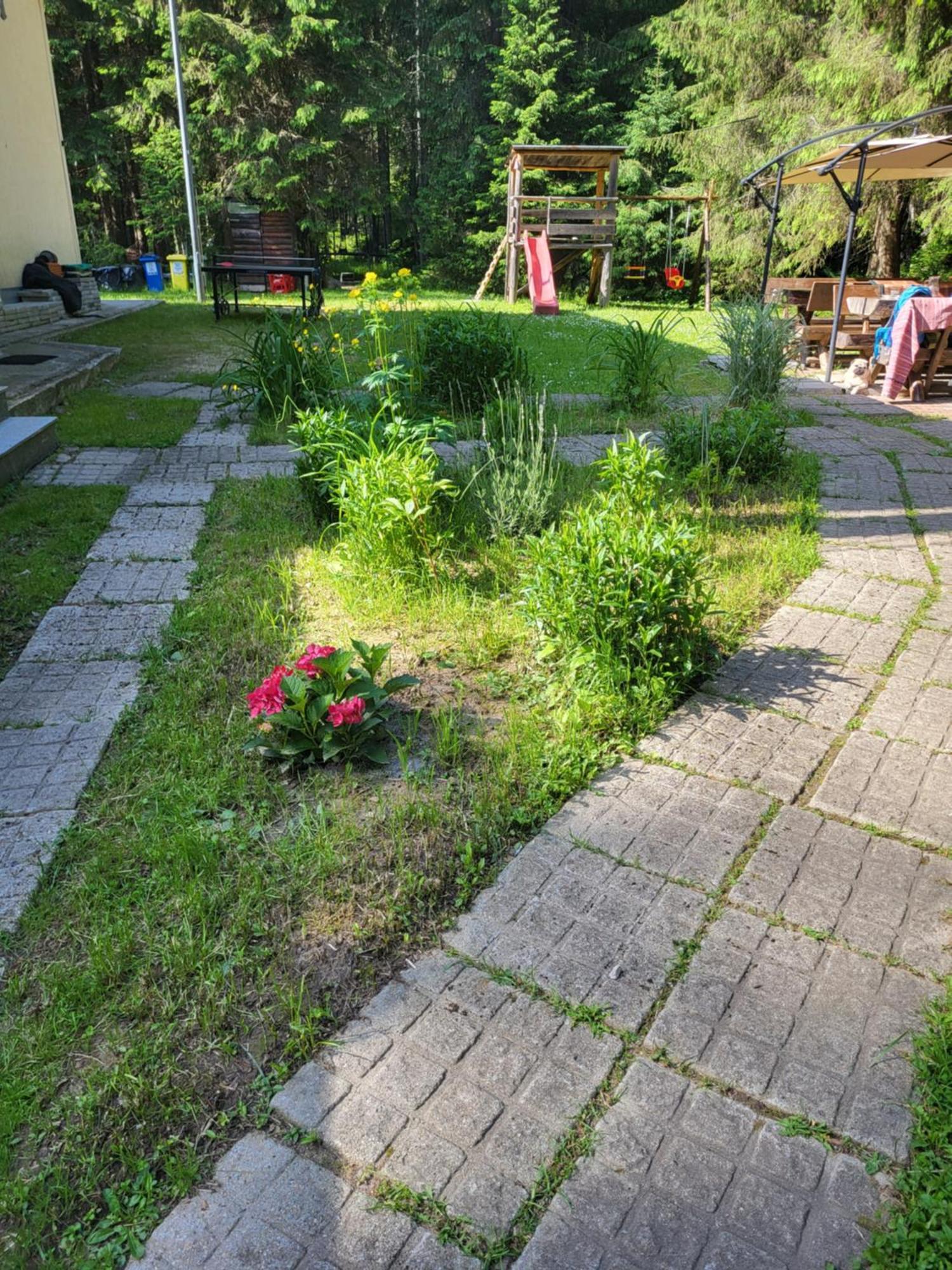 Pension Cabana Cetatile Ponorului Падис Экстерьер фото