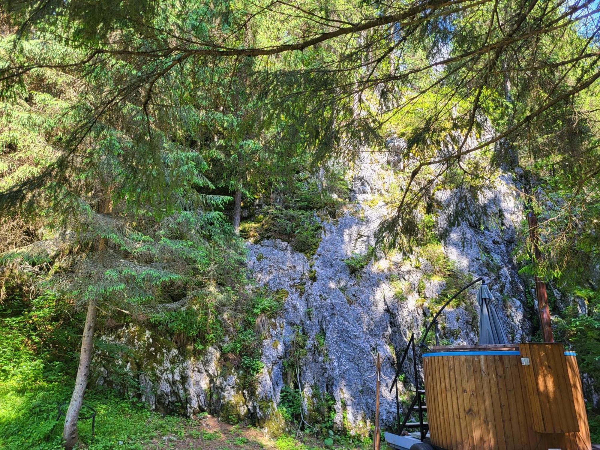 Pension Cabana Cetatile Ponorului Падис Экстерьер фото