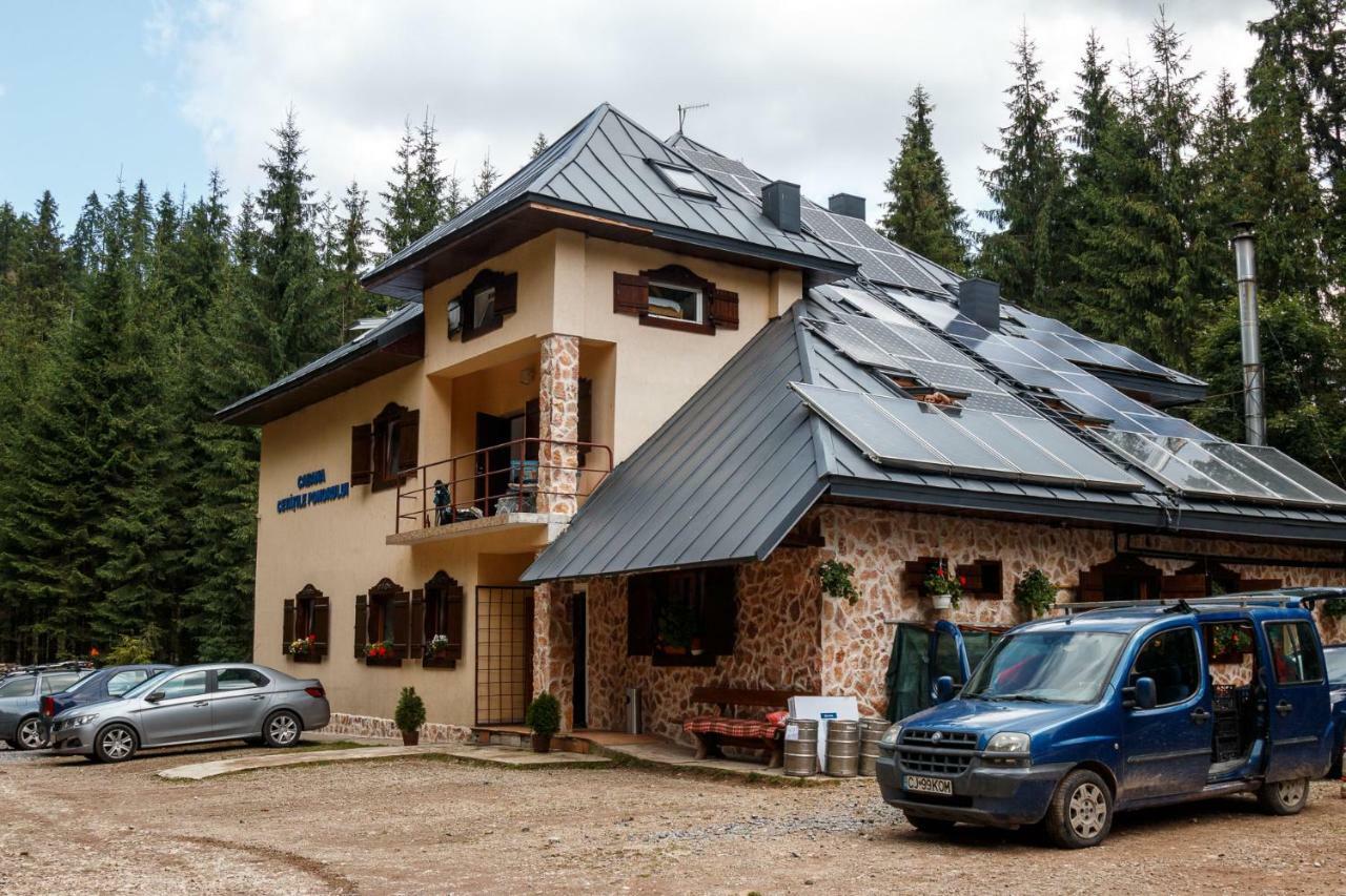 Pension Cabana Cetatile Ponorului Падис Экстерьер фото